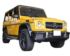 Mercedes-Benz 463 (G-класс 2013- н.в), Webasto Thermo Top
