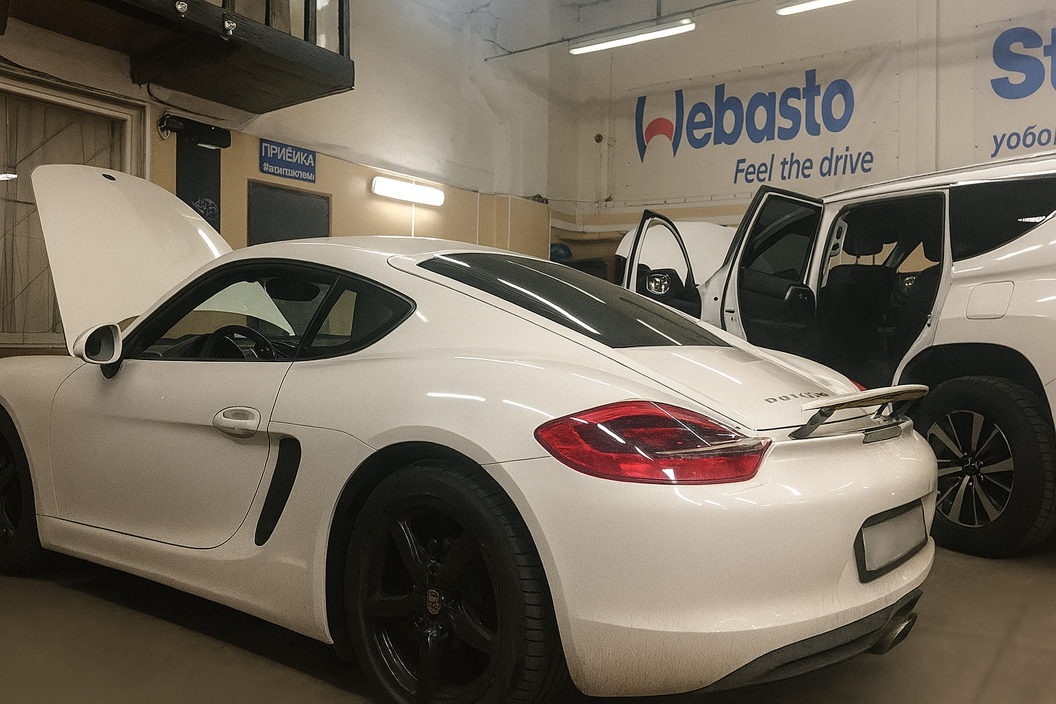 Установка Webasto TT Comfort+ и Altox Wbus 5 на Porsche Cayman - фото и описание выполненых работ
